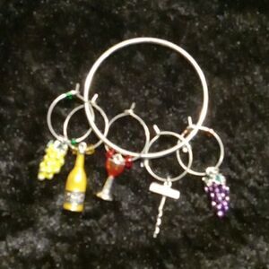 Wine Charms ~ Multi Color Wine, Cheese and Fruit Wine Charms Set of 6 (Style Win